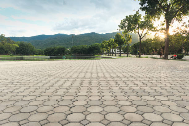 Best Professional Driveway Pavers  in Jonesboro, AR